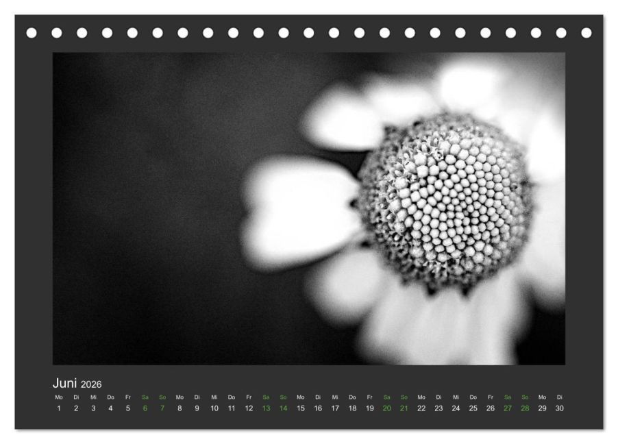 additionalImage11