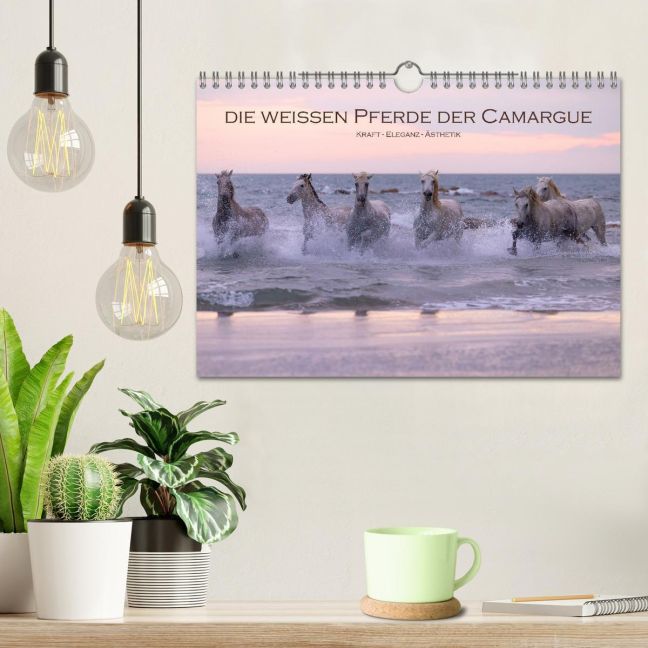 additionalImage1