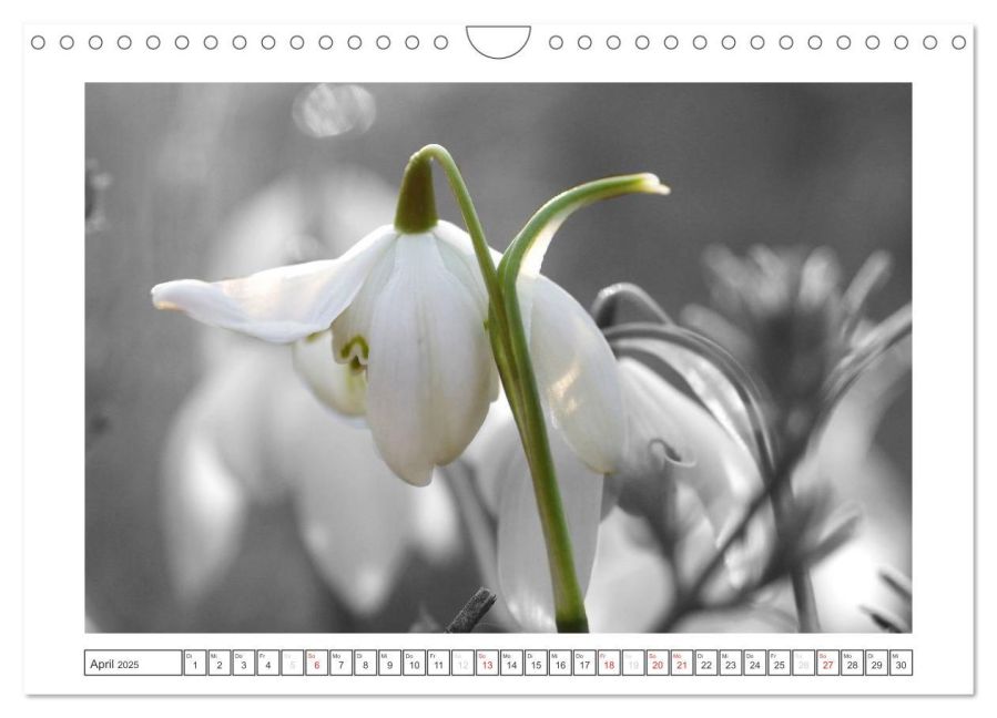 additionalImage9