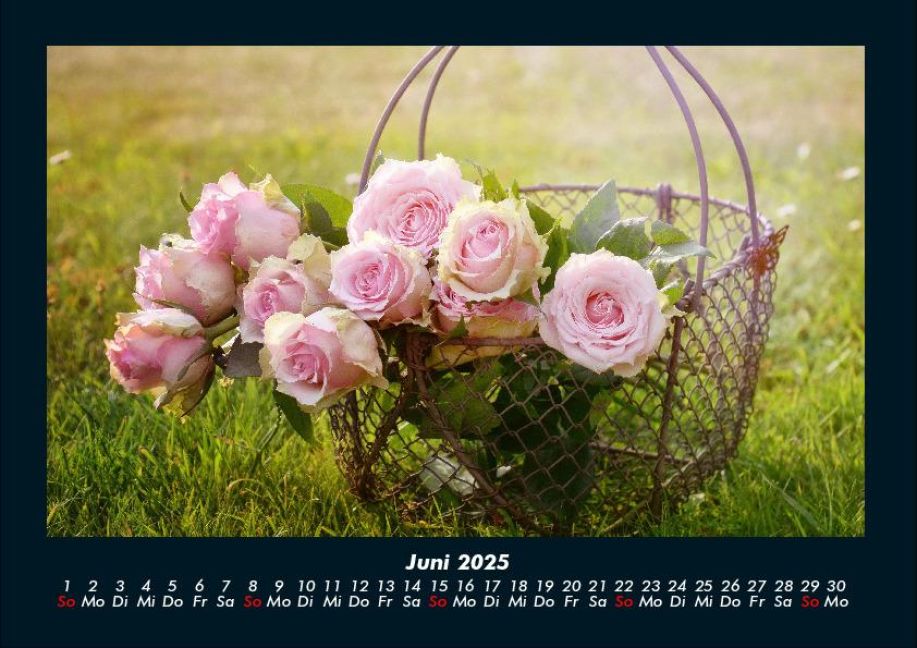 additionalImage10