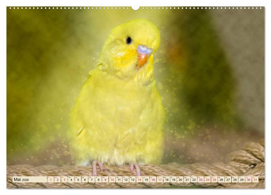additionalImage10