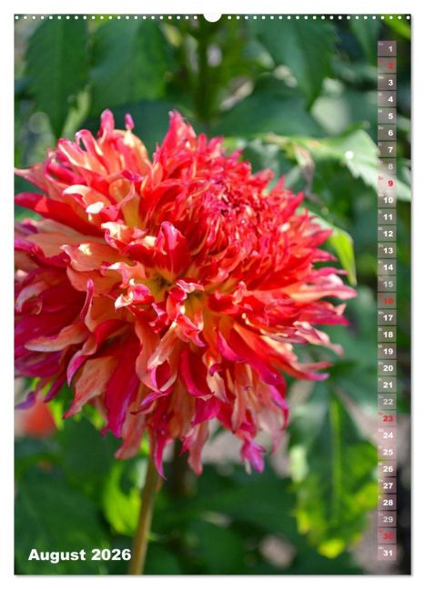 additionalImage12