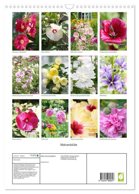 additionalImage5