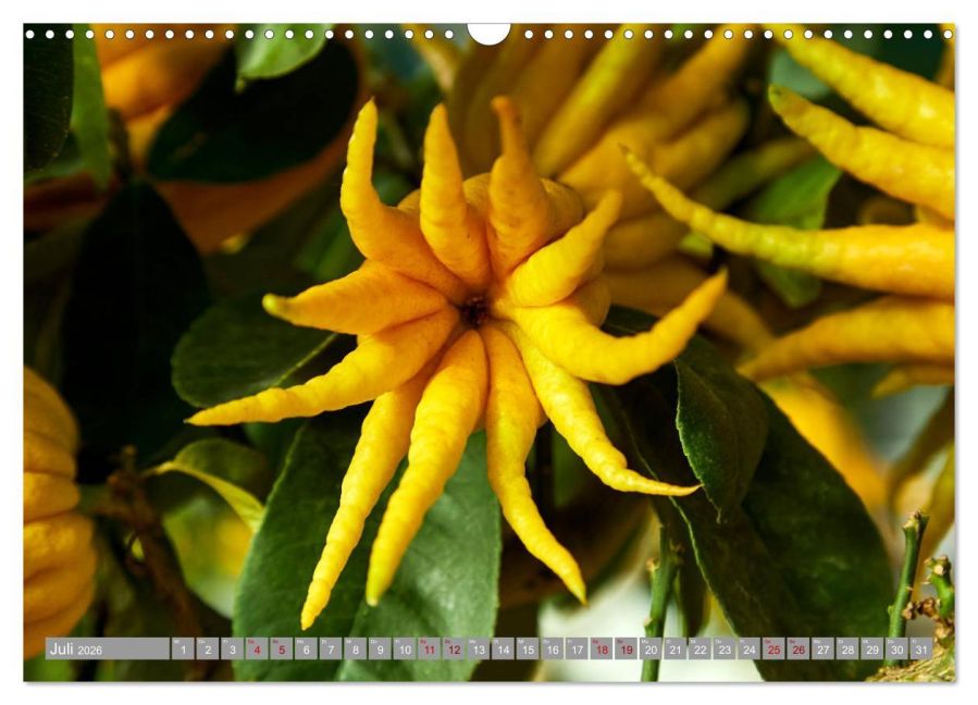 additionalImage12