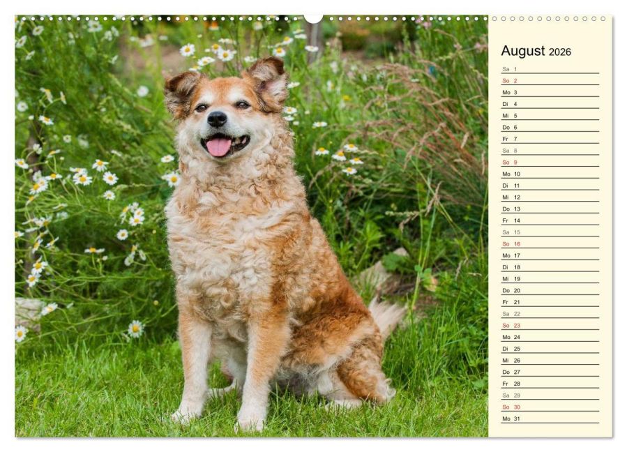 additionalImage12