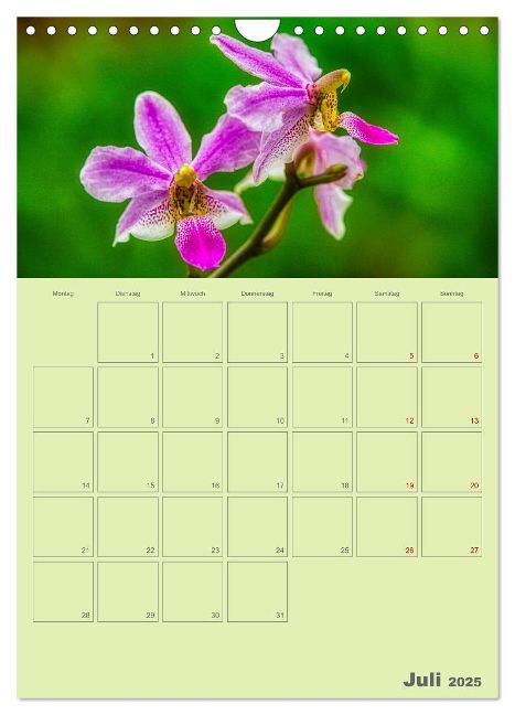 additionalImage12