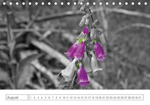 additionalImage8