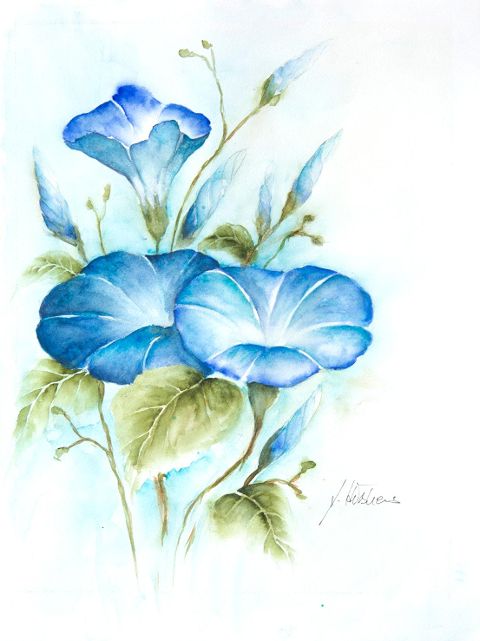 additionalImage1