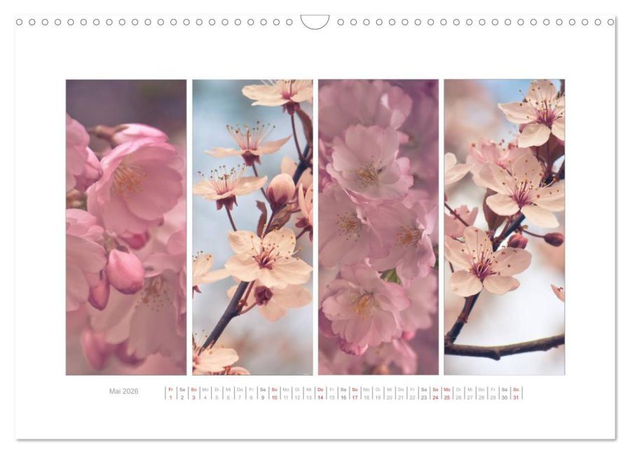 additionalImage10