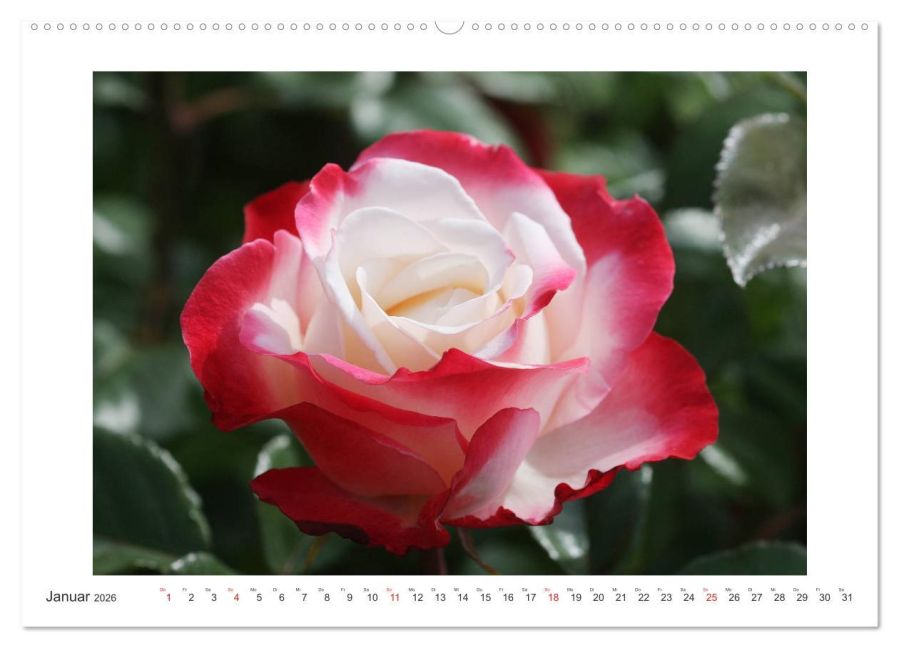 additionalImage6