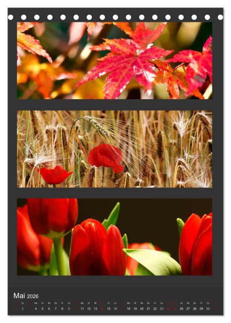 additionalImage10