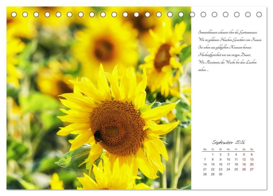 additionalImage14