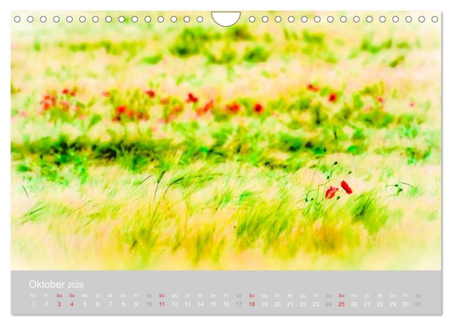 additionalImage2