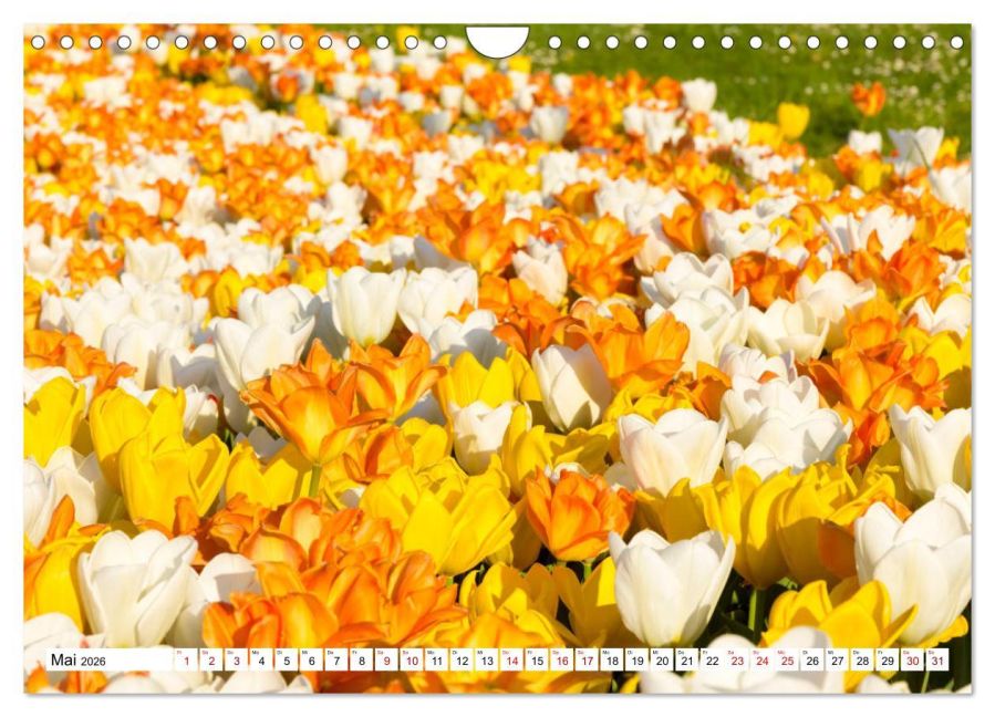additionalImage10