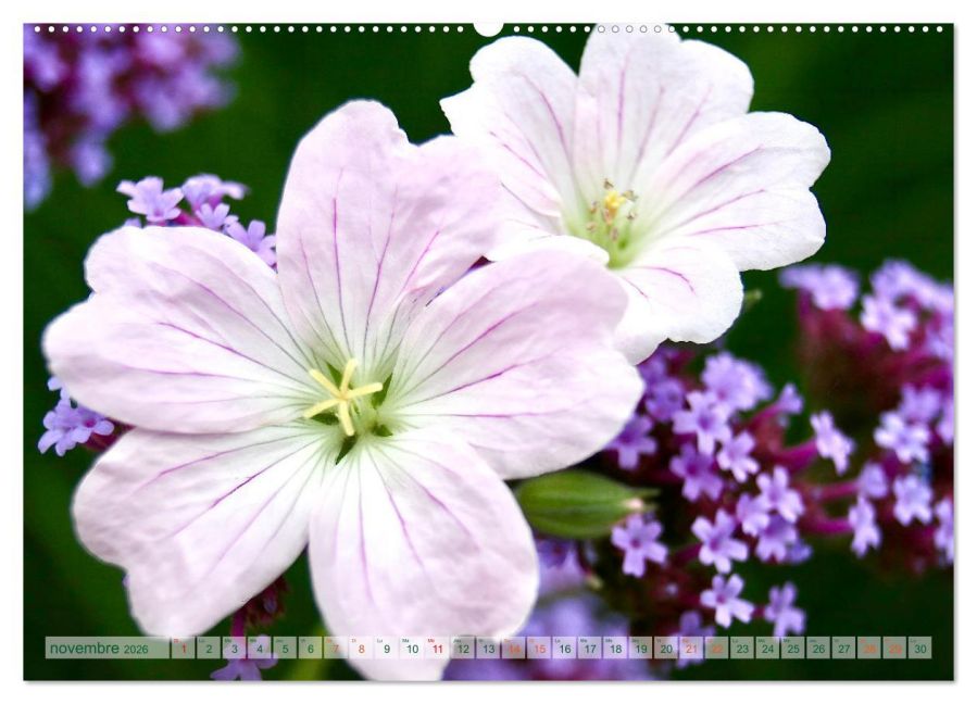 additionalImage3