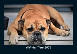 Cover-Bild zum Titel 'Welt der Tiere 2026 Fotokalender DIN A5' von 'Tobias Becker'