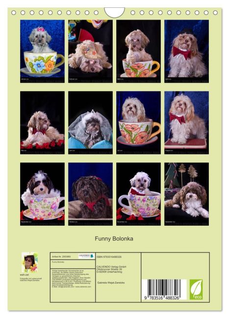 additionalImage5