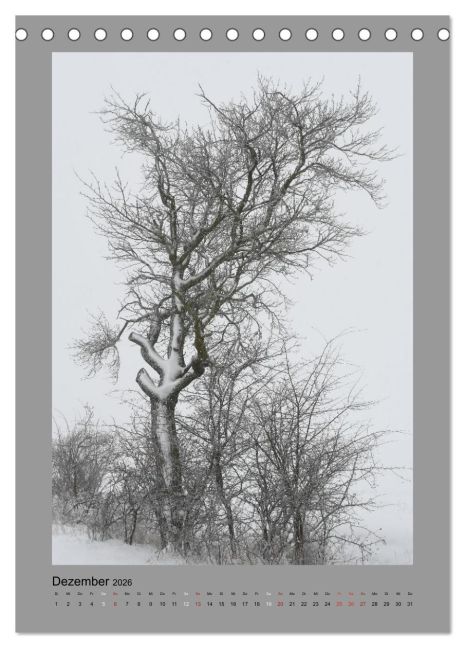 additionalImage4