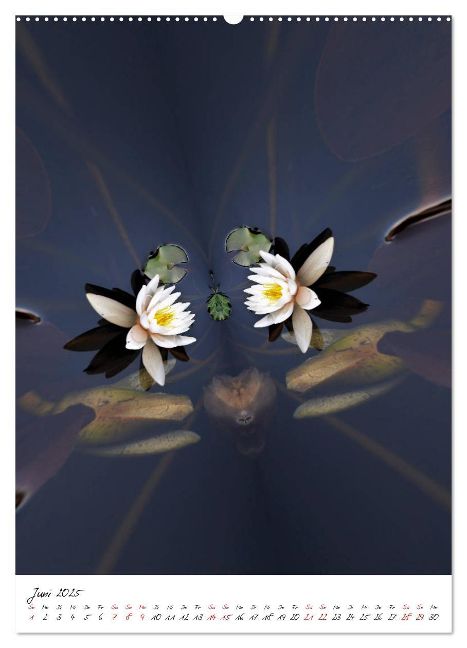 additionalImage10