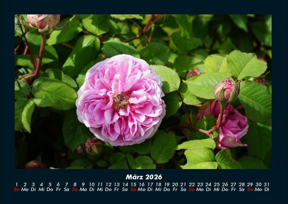 additionalImage7