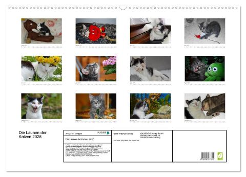 additionalImage5