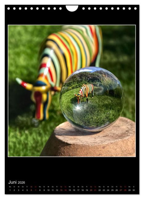 additionalImage11