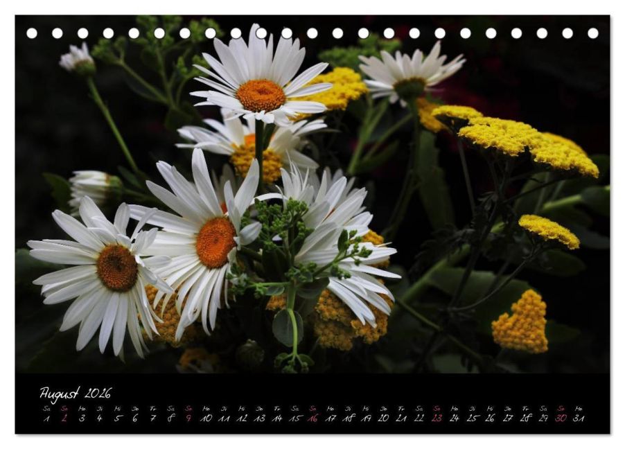 additionalImage13