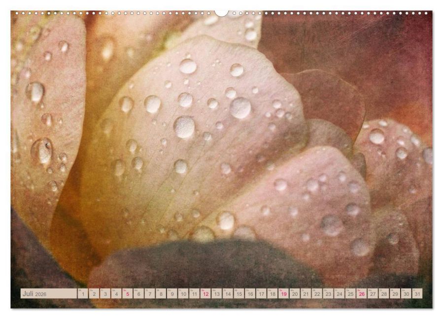 additionalImage11