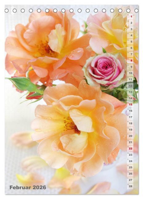 additionalImage7