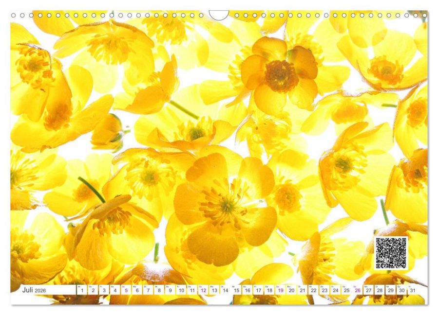 additionalImage12