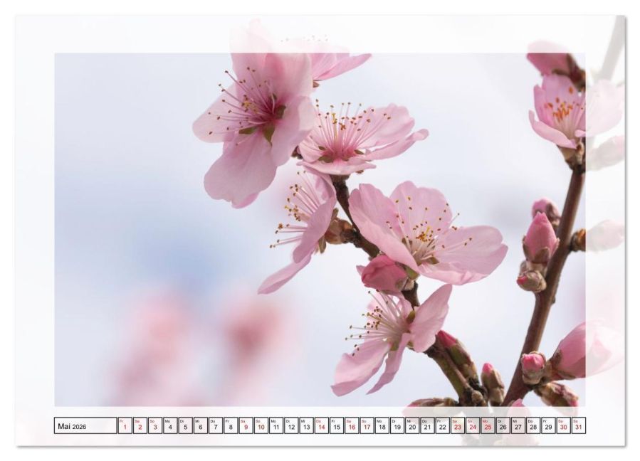 additionalImage10