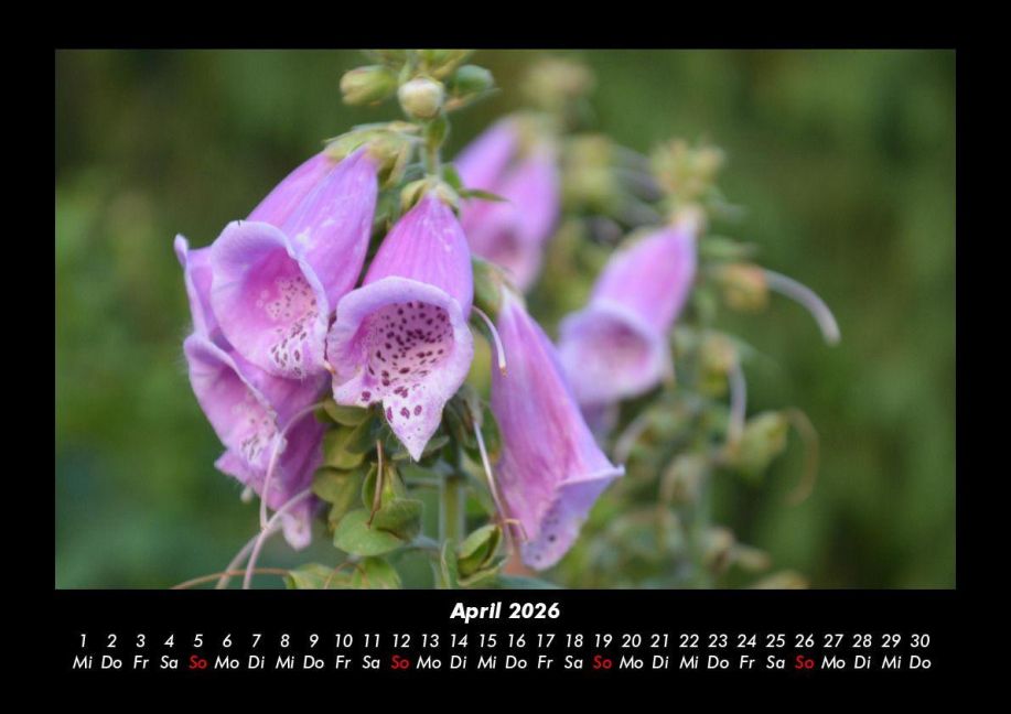 additionalImage8