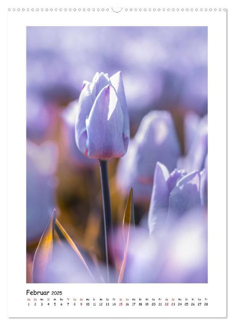additionalImage6