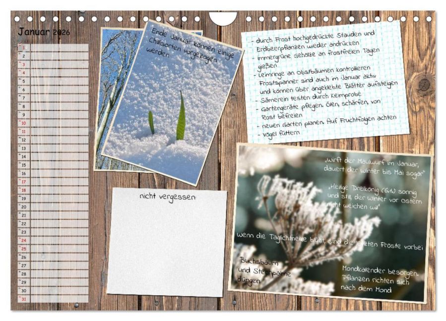 additionalImage6