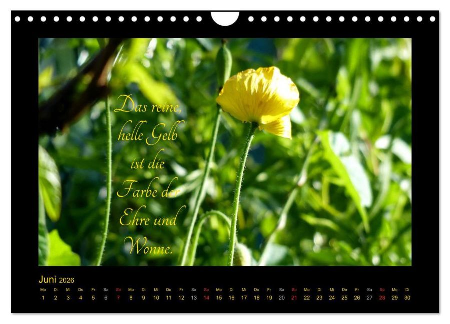 additionalImage11