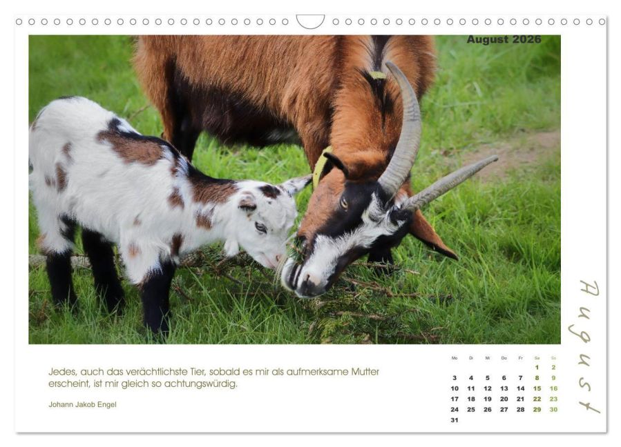 additionalImage13