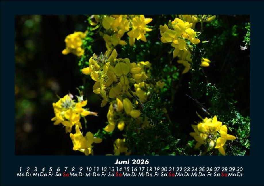 additionalImage10