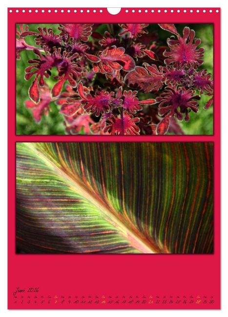 additionalImage11