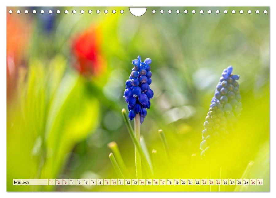 additionalImage10