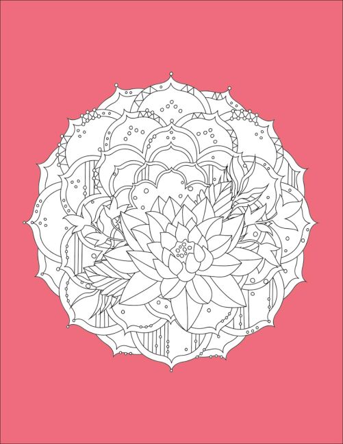 additionalImage4