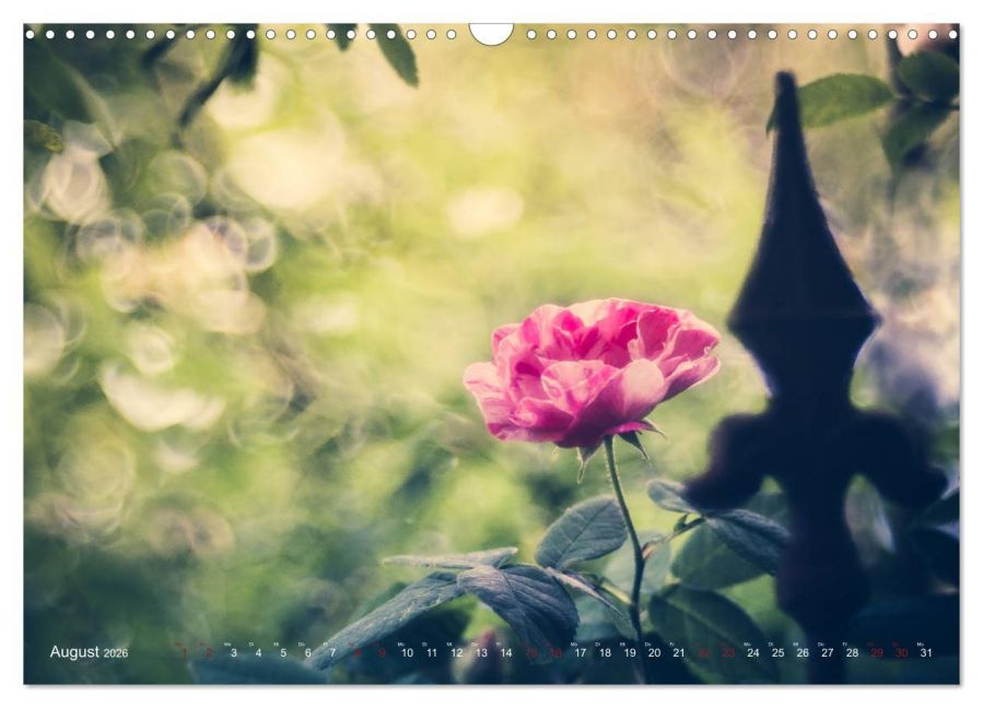 additionalImage13