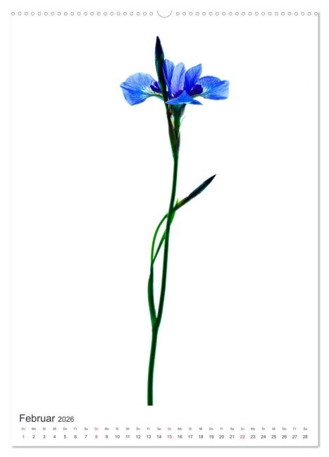 additionalImage7