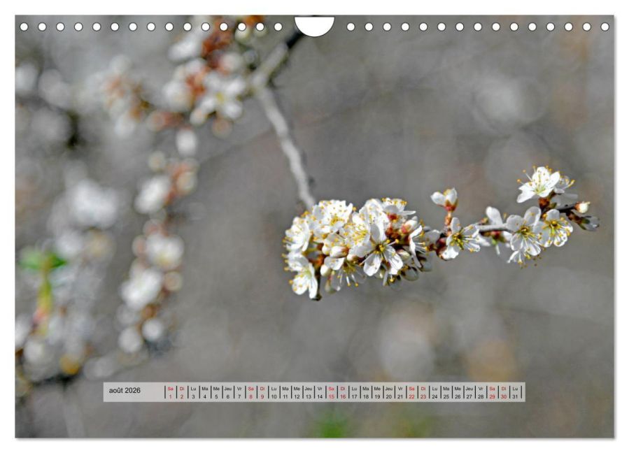 additionalImage13