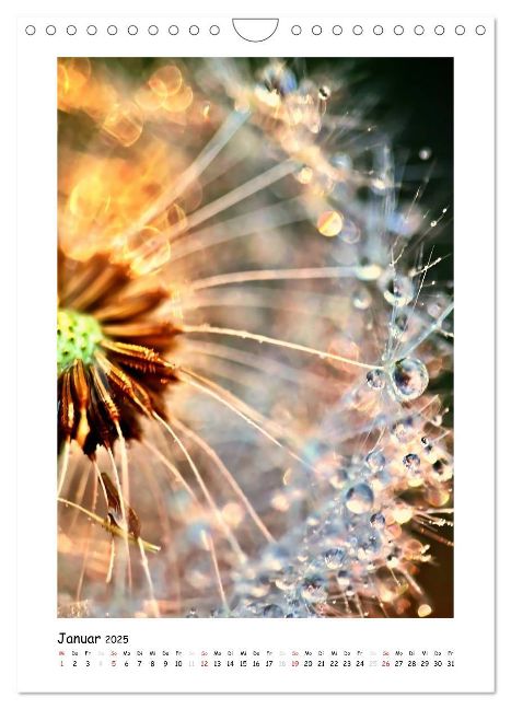 additionalImage6