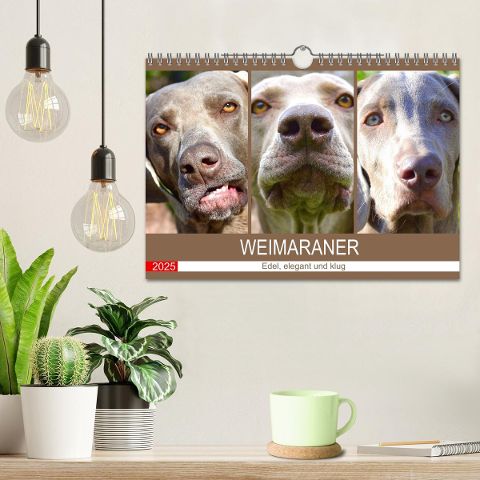 additionalImage1