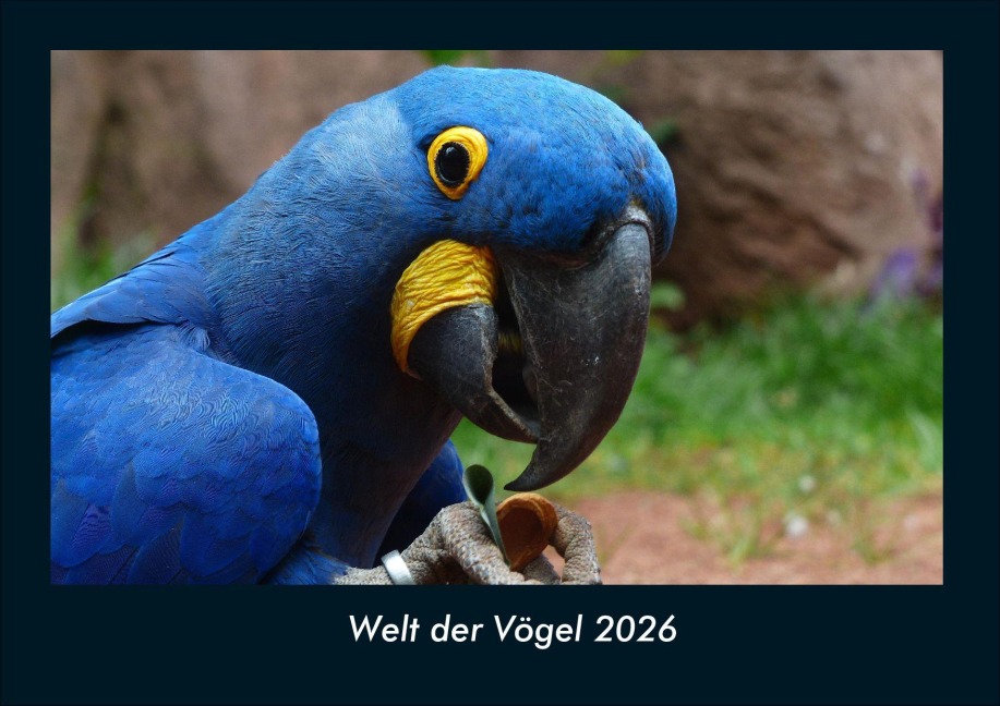 Welt der Vögel 2026 Fotokalender DIN A4 - Tobias Becker
