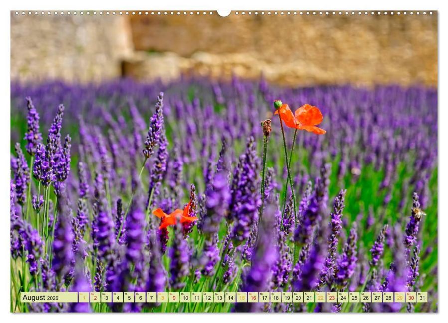 additionalImage12