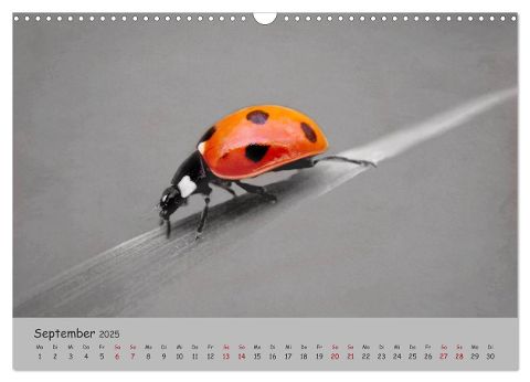 additionalImage14