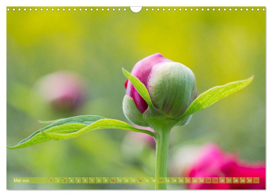 additionalImage10