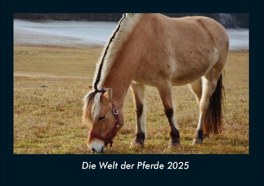 Die Welt der Pferde 2025 Fotokalender DIN A4 - Tobias Becker